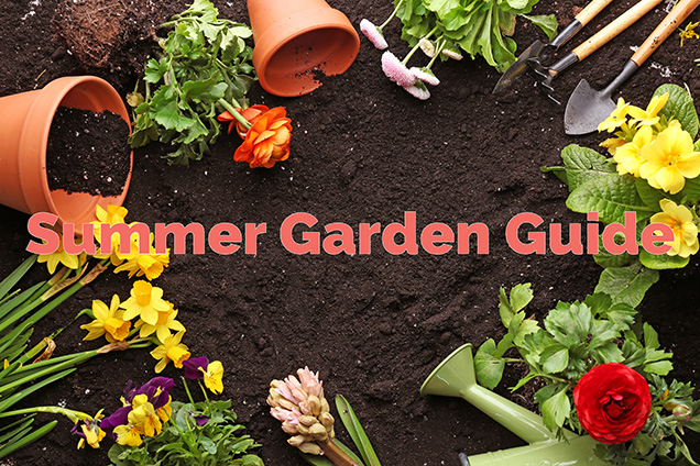 Pots, plants, and gardening tools in a circle ontop of dirt with the text, Summer Garden Guide.